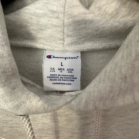 Champion Light Gray Northern Illinois University Hoodie - Picture 2 of 4